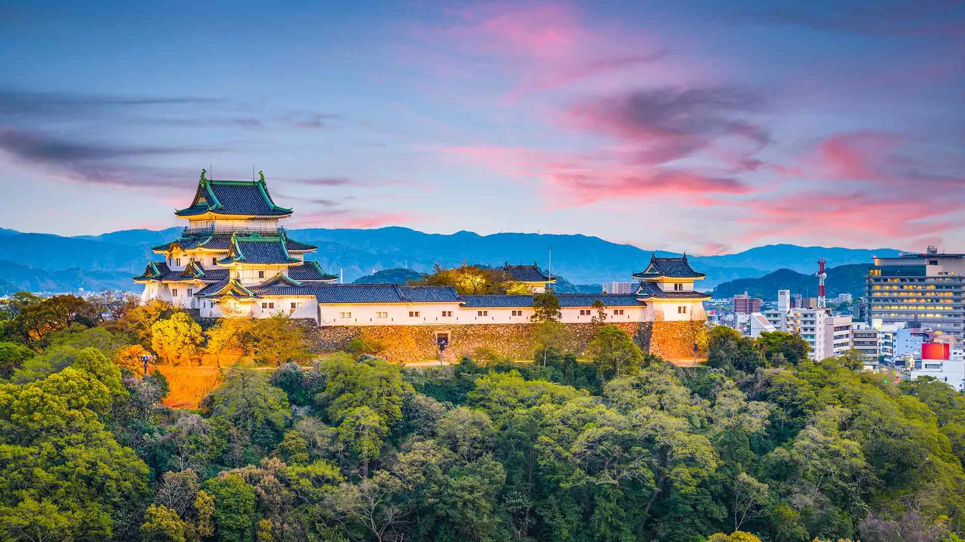 🎨 와카야마 현립 근대 미술관 이미지 8